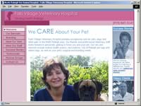 Falls Village Vet