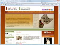 Safe Haven For Cats